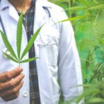 Cannabis Consulting: Navigating the Complexities of the Growing Industry