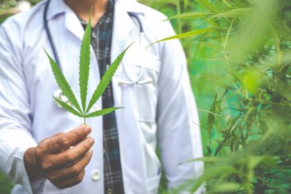 Cannabis Consulting: Navigating the Complexities of the Growing Industry