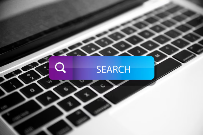 Domain Name Search